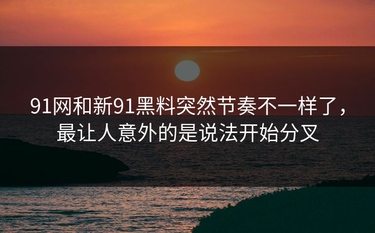91网和新91黑料突然节奏不一样了，最让人意外的是说法开始分叉
