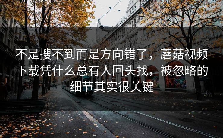 不是搜不到而是方向错了,蘑菇视频下载凭什么总有人回头找,被忽略的细节其实很关键 不是搜不到而是方向错了,蘑菇视频下载凭什么总有人回头找,被忽略的细节其实很关键